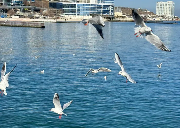 вид на море, жк Avinion Appartement